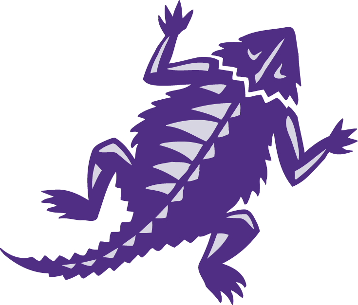 TCU Horned Frogs 2001-Pres Alternate Logo iron on transfers for T-shirts